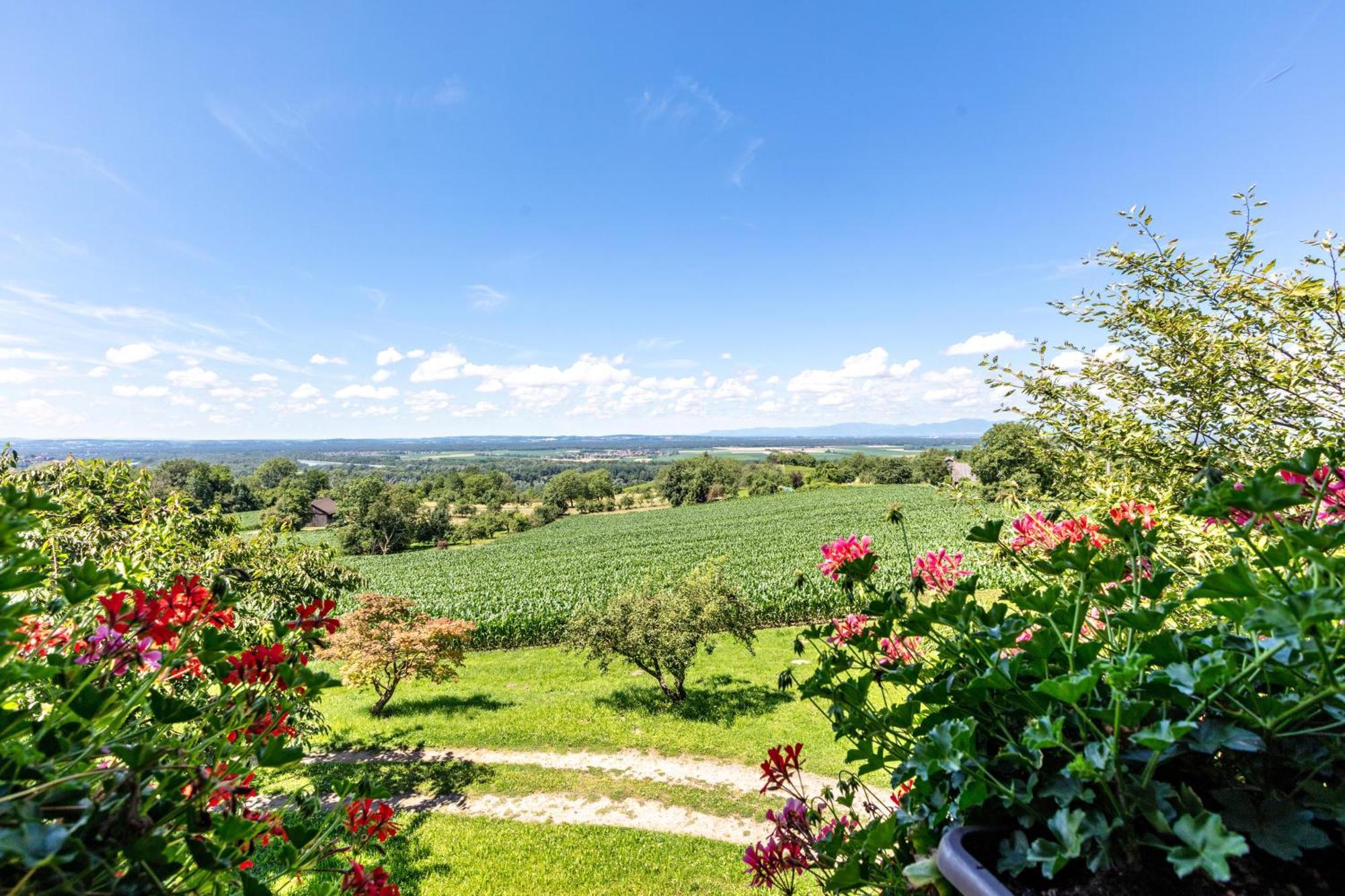 Pappelhof Apartment Bad Bellingen Luaran gambar